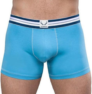 BLUEBUCK Boxer Briefs Men's Underwear Sky Blue - Activemen Clothing